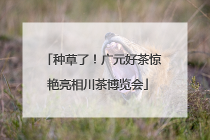 种草了！广元好茶惊艳亮相川茶博览会