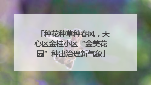 种花种草种春风，天心区金桂小区“金美花园”种出治理新气象