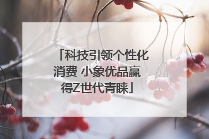 科技引领个性化消费 小象优品赢得Z世代青睐