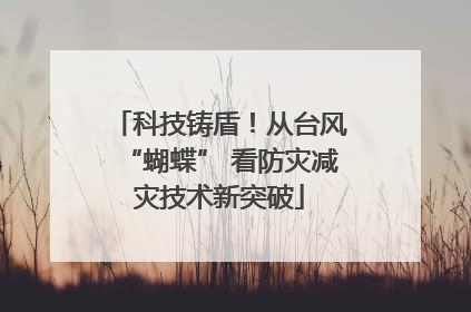 科技铸盾！从台风“蝴蝶” 看防灾减灾技术新突破