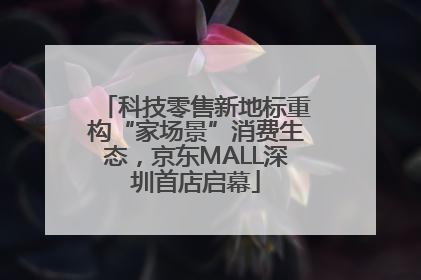 科技零售新地标重构“家场景”消费生态，京东MALL深圳首店启幕