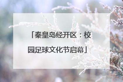 秦皇岛经开区：校园足球文化节启幕
