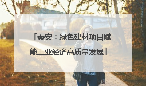秦安：绿色建材项目赋能工业经济高质量发展