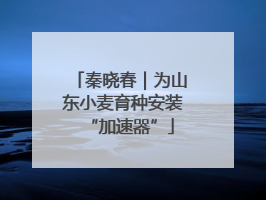 秦晓春｜为山东小麦育种安装“加速器”