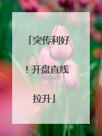 突传利好！开盘直线拉升