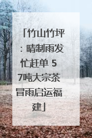 竹山竹坪：晴制雨发忙赶单 57吨大宗茶冒雨启运福建