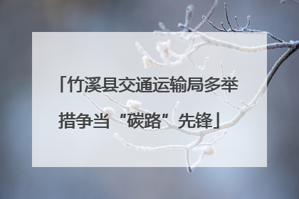 竹溪县交通运输局多举措争当“碳路”先锋