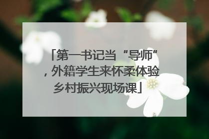 第一书记当“导师”，外籍学生来怀柔体验乡村振兴现场课