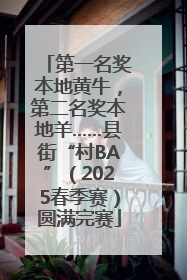 第一名奖本地黄牛，第二名奖本地羊……县街“村BA”（2025春季赛）圆满完赛