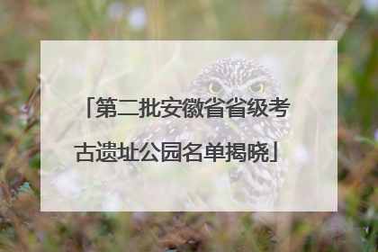 第二批安徽省省级考古遗址公园名单揭晓