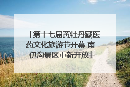 第十七届黄牡丹藏医药文化旅游节开幕 南伊沟景区重新开放