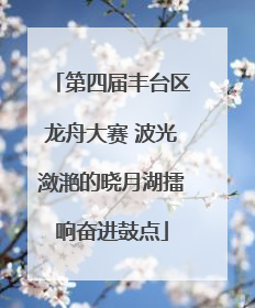 第四届丰台区龙舟大赛 波光潋滟的晓月湖擂响奋进鼓点