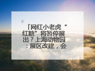 网红小老虎“红糖”将暂停展出？上海动物园：展区改建，会安排展出计划