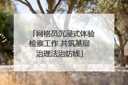 网格员沉浸式体验检察工作 共筑基层治理法治防线