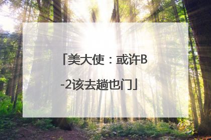 美大使：或许B-2该去趟也门