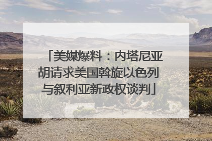 美媒爆料：内塔尼亚胡请求美国斡旋以色列与叙利亚新政权谈判