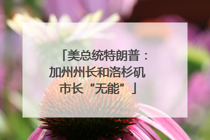 美总统特朗普：加州州长和洛杉矶市长“无能”