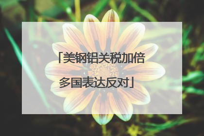 美钢铝关税加倍 多国表达反对