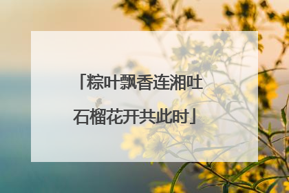 粽叶飘香连湘吐 石榴花开共此时