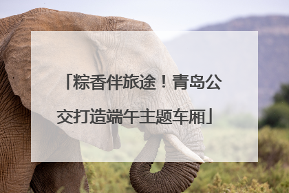 粽香伴旅途！青岛公交打造端午主题车厢