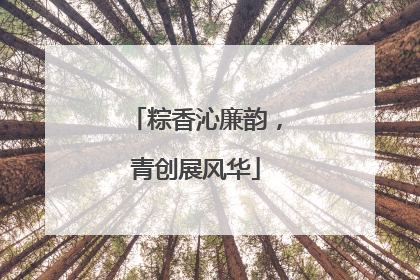 粽香沁廉韵，青创展风华