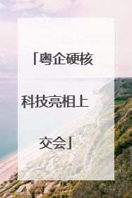 粤企硬核科技亮相上交会