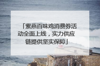 紫燕百味鸡消费券活动全面上线，实力供应链提供坚实保障