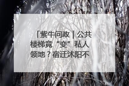 紫牛问政｜公共楼梯竟“变”私人领地？宿迁沭阳不动产登记引质疑
