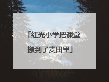 红光小学把课堂搬到了麦田里