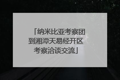 纳米比亚考察团到湘潭天易经开区考察洽谈交流