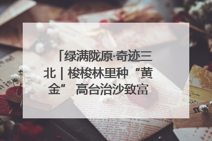绿满陇原·奇迹三北｜梭梭林里种“黄金” 高台治沙致富很“从容”