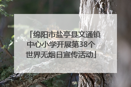 绵阳市盐亭县文通镇中心小学开展第38个世界无烟日宣传活动
