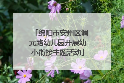 绵阳市安州区调元路幼儿园开展幼小衔接主题活动
