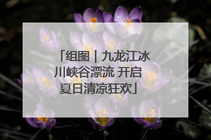 组图｜九龙江冰川峡谷漂流 开启夏日清凉狂欢