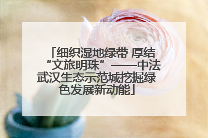 细织湿地绿带 厚结“文旅明珠”——中法武汉生态示范城挖掘绿色发展新动能