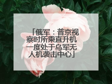 俄军：普京视察时所乘直升机一度处于乌军无人机袭击中心