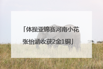 体操亚锦赛河南小花张怡涵收获2金1铜