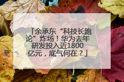 余承东“科技长跑论”炸场！华为去年研发投入近1800亿元，底气何在？