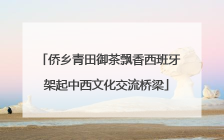 侨乡青田御茶飘香西班牙 架起中西文化交流桥梁