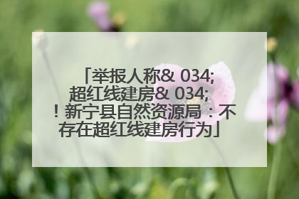 举报人称& 034;超红线建房& 034;！新宁县自然资源局：不存在超红线建房行为