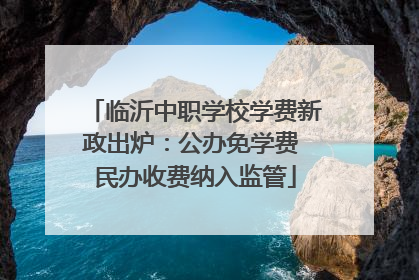 临沂中职学校学费新政出炉：公办免学费 民办收费纳入监管