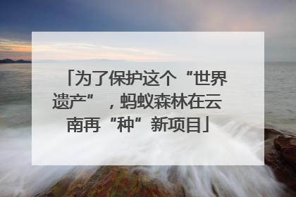 为了保护这个“世界遗产”，蚂蚁森林在云南再“种”新项目