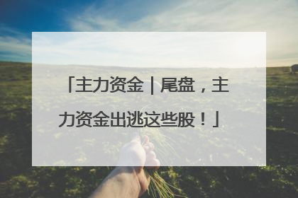 主力资金｜尾盘，主力资金出逃这些股！