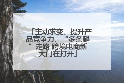 主动求变、提升产品竞争力、“多条腿”走路 跨境电商新大门在打开