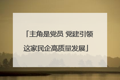 主角是党员 党建引领这家民企高质量发展