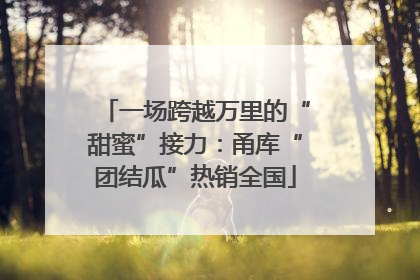 一场跨越万里的“甜蜜”接力：甬库“团结瓜”热销全国