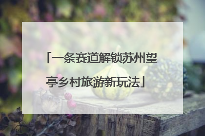 一条赛道解锁苏州望亭乡村旅游新玩法