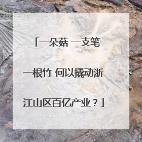 一朵菇 一支笔 一根竹 何以撬动浙江山区百亿产业？