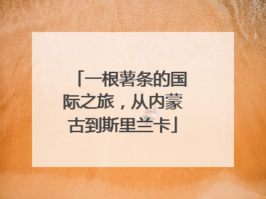 一根薯条的国际之旅，从内蒙古到斯里兰卡