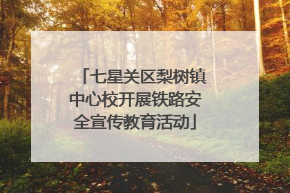 七星关区梨树镇中心校开展铁路安全宣传教育活动